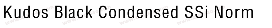 Kudos Black Condensed SSi Normal字体转换